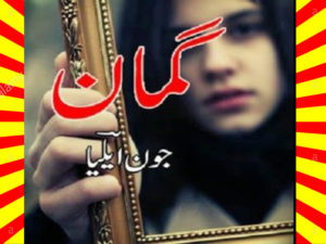 Read more about the article Guman Poetry Book By Jaun Elia