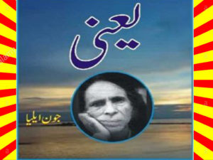 Read more about the article Yani Poetry Book By Jaun Elia