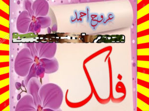 Read more about the article Falak Urdu Novel By Urooj Ahmed Episode 2