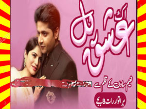 Read more about the article Ik Pal Ishq Urdu Novel By Naeem Sawan Episode