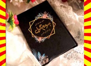 Read more about the article Home Girl Urdu Book By Nemrah Ahmed