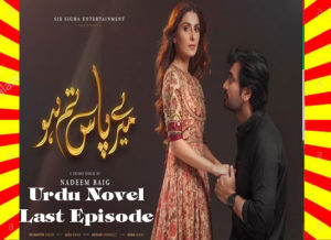 Read more about the article Meray Paas Tum Ho Urdu Novel Last Episode