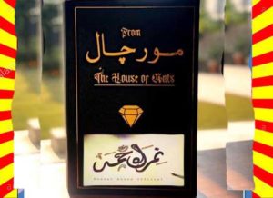 Read more about the article Morchal Urdu Book by Nemrah Ahmed
