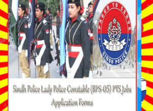 Read more about the article PTS Jobs 2020 Application Form Sindh Police Department Phase V