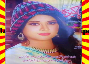 Read more about the article Pakeeza Digest February 2020 Read and Download