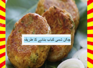 Read more about the article How To Make Chicken Shami Kabab Recipe Hindi and English
