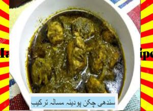 Read more about the article How To Make Sindhi Chicken Pudina Masala Recipe Urdu and English