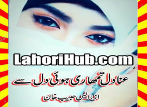 Read more about the article Anadil Tumhari Hui Dil Se Urdu Novel By S Habib Khan