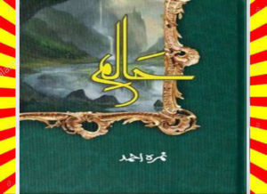 Read more about the article Haalim Urdu Novel Complete By Nimra Ahmad