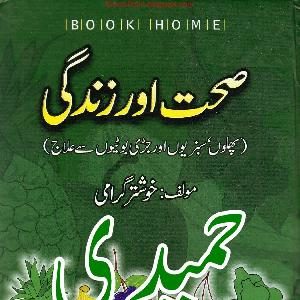 Read more about the article Sehat Aur Zindagi Urdu Novel by Khushtar Girami