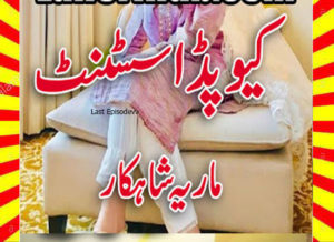 Read more about the article Cupid Assistant Urdu Novel By Maria Shahkar Last Episode