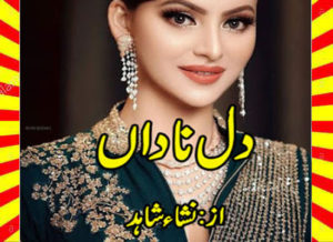 Read more about the article Dil E Nadan Urdu Novel By Nisha Shahid Part 1