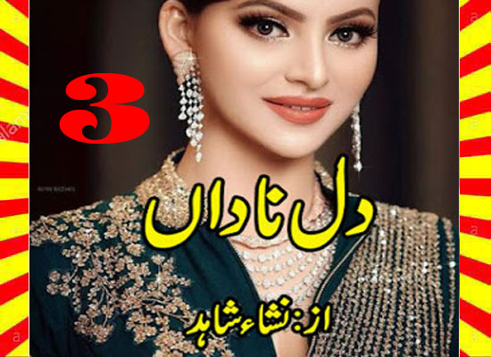 Dil E Nadan Urdu Novel By Nisha Shahid Part 3