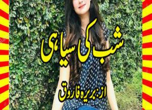Read more about the article Shab Ki Siyahi Urdu Novel By Bareerah Farooq