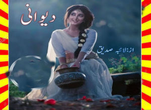 Read more about the article Deewani Urdu Novel By Laiba Siddique Episode 1