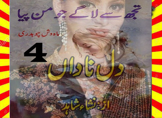 Dil E Nadan Urdu Novel By Nisha Shahid Part 4