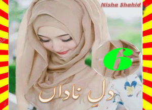 Read more about the article Dil E Nadan Urdu Novel By Nisha Shahid Part 6