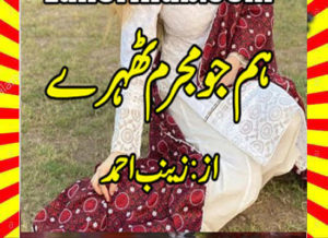 Read more about the article Hum Jo Mujrim Thehry Urdu Novel By Zainab Ahmed