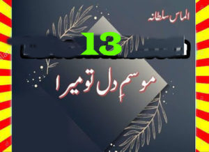 Read more about the article Mausam E Dil Tu Mera Urdu Novel By Almas Sultana Episode 13