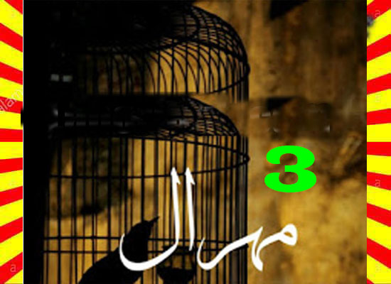 Mehraal Urdu Novel By Sania Mumtaz Part 3