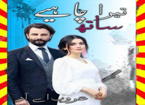 Read more about the article Tera Sath Chahye Urdu Novel By Aroob A R