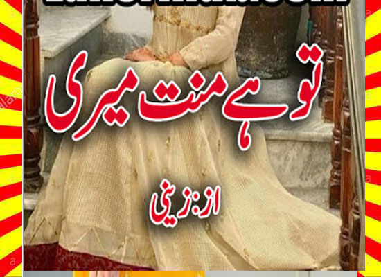Tu Hai Mannat Meri Urdu Novel By Zaini