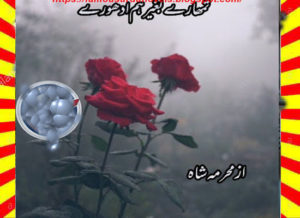 Read more about the article Tumhary Bagher Hum Adhoory Urdu Novel By Mehrmah Shah Episode 3