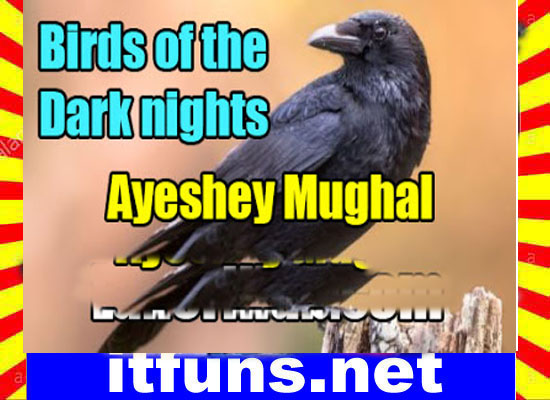 Birds Of The Dark Nights Urdu Novel By Ayeshey Mughal