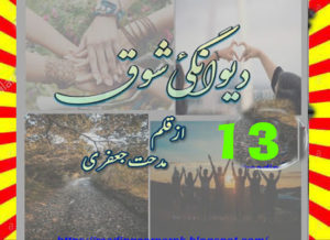 Read more about the article Deewangi E Shouq Urdu Novel By Midhat Jaffery Episode 13