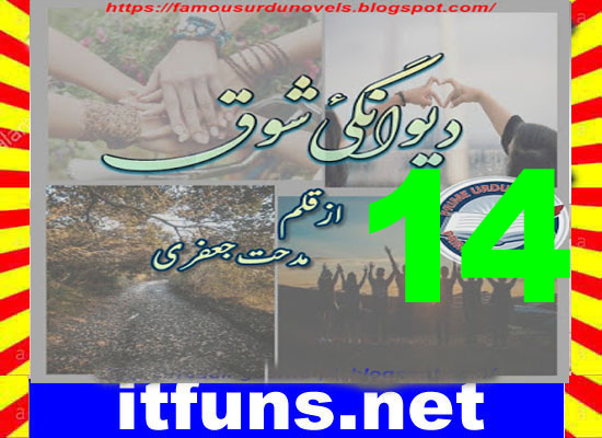 Deewangi E Shouq Urdu Novel By Midhat Jaffery Episode 14