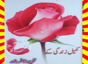Read more about the article Khail Zindagi Ke Urdu Novel By Fatima Nadir