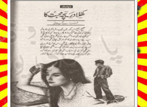 Read more about the article Khula Dareecha Mohabbat Ka Urdu Novel by Farzana Gilani