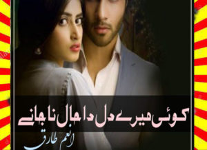 Read more about the article Koi Mere Dil Da Haal Na Janay Urdu Novel By Anam Tariq