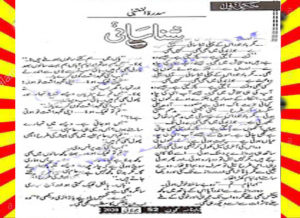 Read more about the article Shanasai Urdu Novel By Sidratul Muntaha