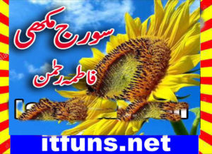 Read more about the article Suraj Mukhi Urdu Novel By Fatima Rehman