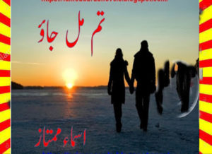 Read more about the article Tum Mil Jao Urdu Novel By Asma Mumtaz