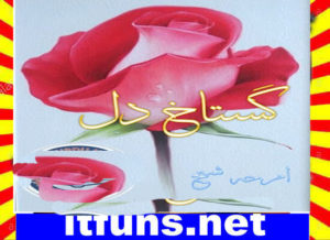 Read more about the article Gustakh Dil Urdu Novel By Amrah Sheikh