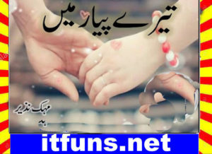 Read more about the article Tere Pyar Mein Urdu Novel By Mehak Nazir