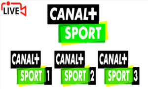 Read more about the article Canal + Sport Watch Live TV Channel From Poland