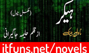 Read more about the article Hacker by Haleema Jagirani Complete Novel