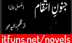 Read more about the article Junoon e Intiqam by Rania Mehar Complete Novel