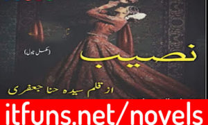 Read more about the article Naseeb by Syeda Hina Jaffri Complete Novel
