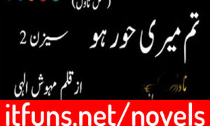 Read more about the article Tum Meri Hoor Ho Season 2 by Mehvish Elahi Complete Novel
