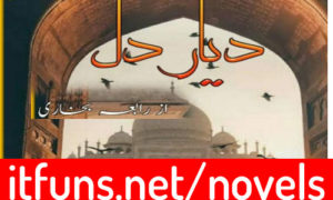 Read more about the article Diyar e Dil by Rabia Bukhari Complete Novel
