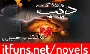 Read more about the article Wafa Ke Deep by Ayesha Jabeen Complete Novel