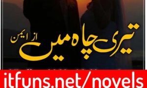 Read more about the article Teri Chah Main By Aiman Complete Novel