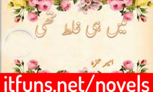 Read more about the article Mein Hi Ghalat Thi by Ameer Hamza Complete Novel