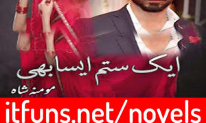 Read more about the article Ik Sitam Aisa Bhi by Momina Shah Complete Novel