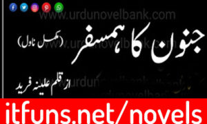 Read more about the article Junoon Ka Humsafar by Aleena Farid Complete Novel