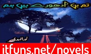 Read more about the article Tum Bin Adhoory Hain Hum By Noor Ul Huda Complete Novel